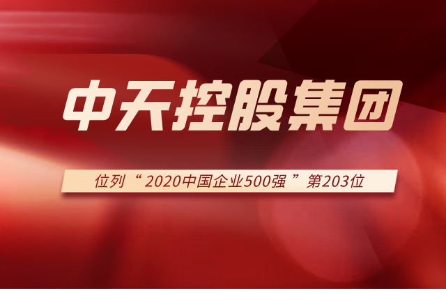 龙8国际集团列2020中国企业500强第203位！